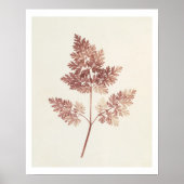 Fronds of Leaves, 1843 (foto) Poster (Voorkant)