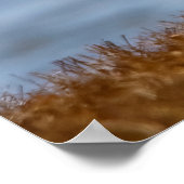 Front Row Seat Poster (Hoek)