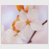 Frontaal Uitzicht van de Sakura-ventilator in het  Cadeaupapier (Vlak)
