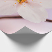 Frontaal Uitzicht van de Sakura-ventilator in het  Cadeaupapier (Hoek)