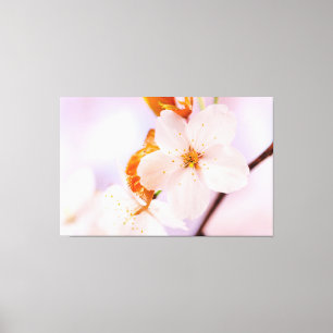 Frontaal Uitzicht van de Sakura-ventilator in het Canvas Afdruk