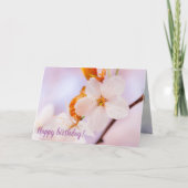 Frontaal Uitzicht van de Sakura-ventilator in het  Kaart (Voorkant)