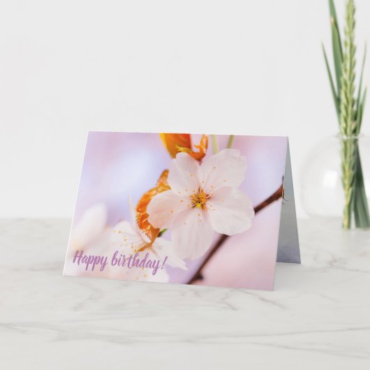 Frontaal Uitzicht van de Sakura-ventilator in het Kaart (Voorkant)