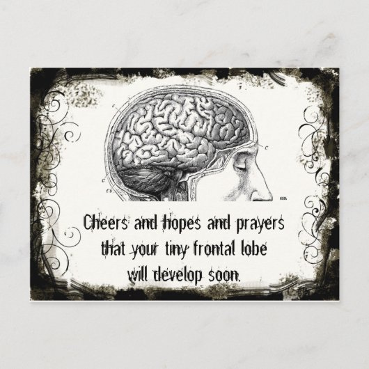 Frontal Lobe Haiku-Briefkaarten Briefkaart (Voorkant)