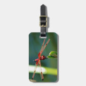 Frontale rode en zwarte dragonfly bagagelabel (Voorkant verticaal)