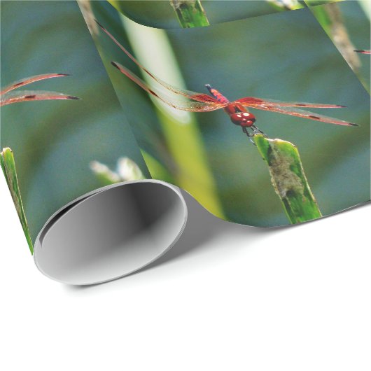 Frontale rode en zwarte dragonfly cadeaupapier (Rol Hoek)