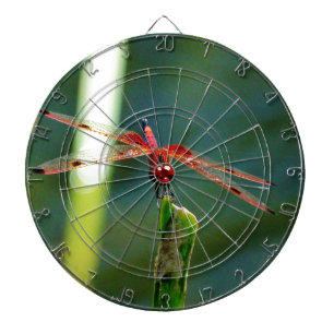 Frontale rode en zwarte dragonfly dartbord