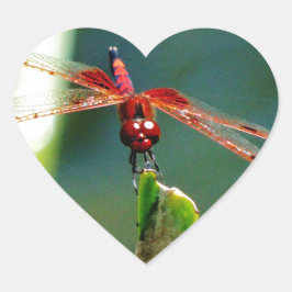 Frontale rode en zwarte dragonfly hart sticker