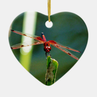 Frontale rode en zwarte dragonfly keramisch ornament