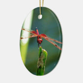 Frontale rode en zwarte dragonfly keramisch ornament (Links)