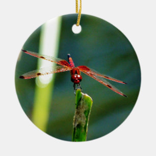 Frontale rode en zwarte dragonfly keramisch ornament