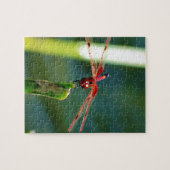 Frontale rode en zwarte dragonfly legpuzzel (Horizontaal)