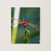 Frontale rode en zwarte dragonfly legpuzzel (Verticaal)