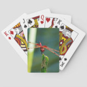 Frontale rode en zwarte dragonfly pokerkaarten (Achterkant)