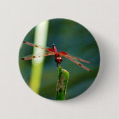 Frontale rode en zwarte dragonfly ronde button 5,7 cm (Voorkant)