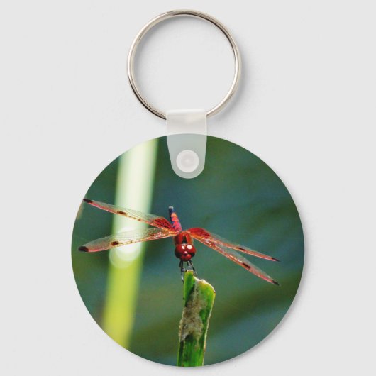 Frontale rode en zwarte dragonfly sleutelhanger (Voorkant)