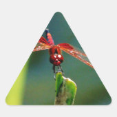 Frontale rode en zwarte dragonfly sticker (Voorkant)