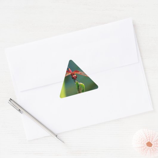 Frontale rode en zwarte dragonfly sticker (Envelop)