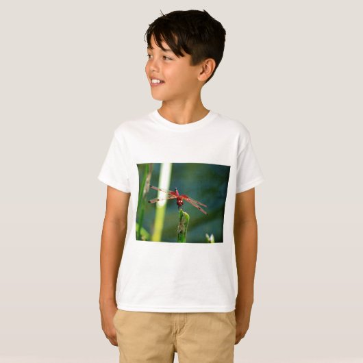 Frontale rode en zwarte dragonfly t-shirt (Voorkant volledig)