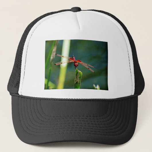 Frontale rode en zwarte dragonfly trucker pet (Voorkant)