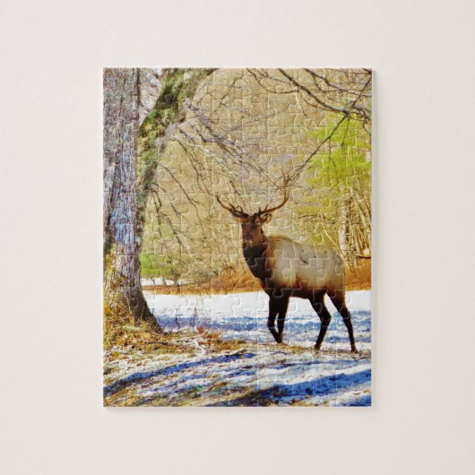 > frontale stier in sneeuw legpuzzel (Verticaal)
