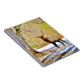 > frontale stier in sneeuw notitieboek (Rechterzijde)