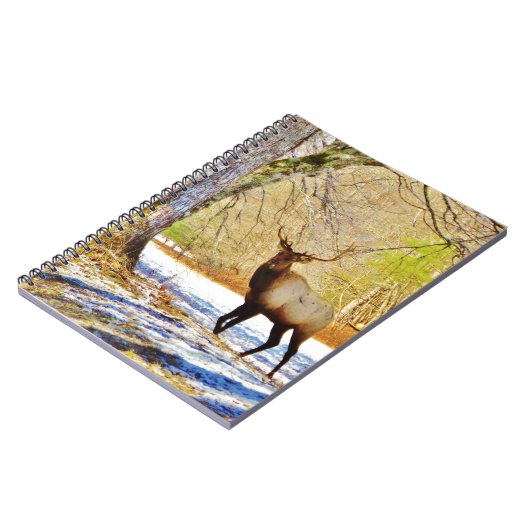 > frontale stier in sneeuw notitieboek (Linkerzijde)