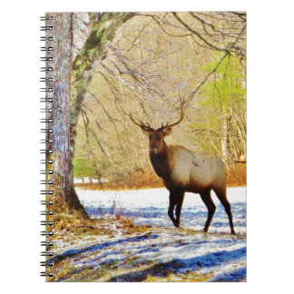 > frontale stier in sneeuw notitieboek