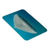 Frontale zicht op walvishaai magneet (Rechterzijde)