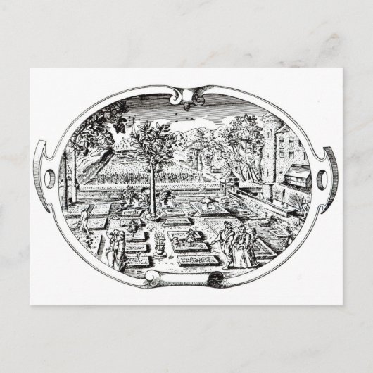Frontispiece uit 'The Herball', door John Gerard ( Briefkaart (Voorkant)