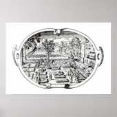 Frontispiece uit 'The Herball', door John Gerard ( Poster (Voorkant)