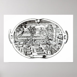 Frontispiece uit 'The Herball', door John Gerard ( Poster