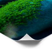 Frontosa Cichlid Plecostomus Aquarium Vis Perfect Poster (Hoek)