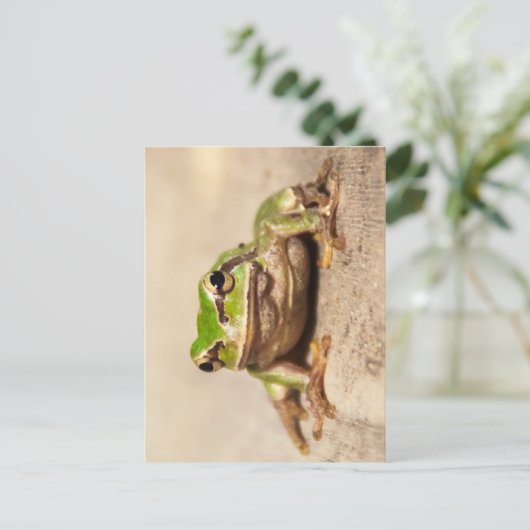 FROSCH BRIEFKAART (Staand voorkant)