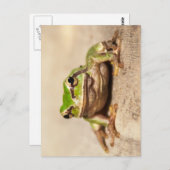FROSCH BRIEFKAART (Voorkant / Achterkant)