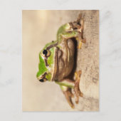 FROSCH BRIEFKAART (Voorkant)