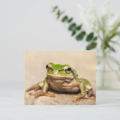 FROSCH BRIEFKAART (Staand voorkant)