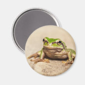 FROSCH MAGNEET (Voorkant / Achterkant)