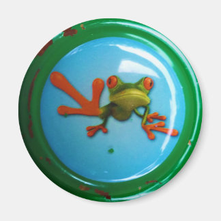 Frosch Magneet