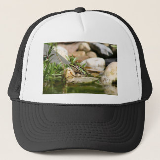 Frosch Trucker Pet