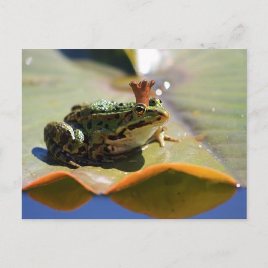 Froschkönig Briefkaart (Voorkant)