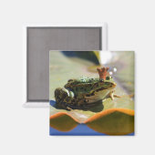Froschkönig Magneet (Voorkant / Achterkant)