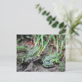 Froschpaar Briefkaart (Staand voorkant)