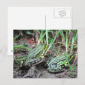 Froschpaar Briefkaart (Voorkant / Achterkant)