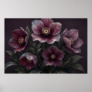 Frost Bloom Sanctuary Winter Hellebore Poster