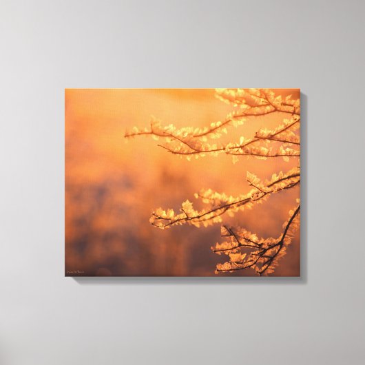 Frost Covered Branch in Morning Light Canvas Afdruk (Voorkant)