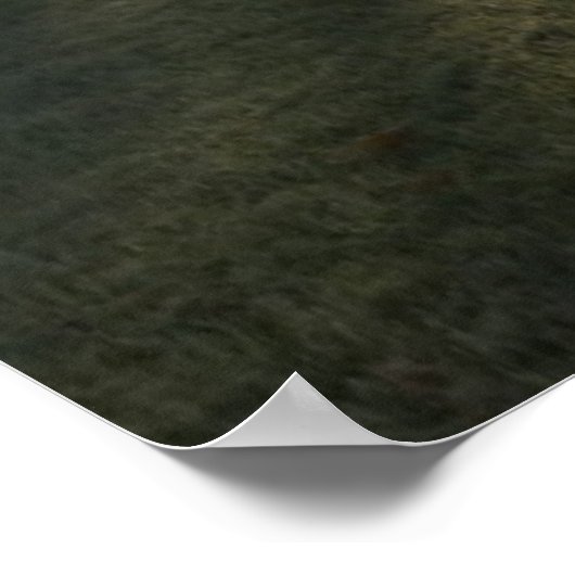 Frost-Covered Golf Course Poster (Hoek)