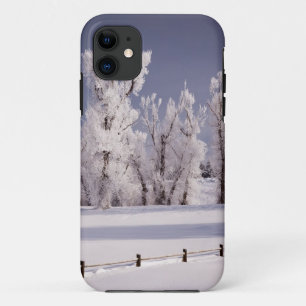 Frost Covered Trees and Fence, Colorado Case-Mate iPhone Case