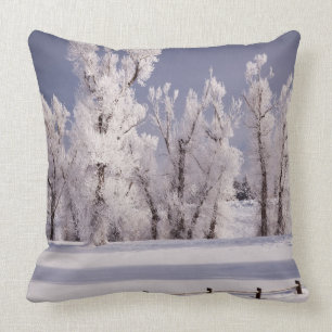 Frost Covered Trees and Fence, Colorado Kussen