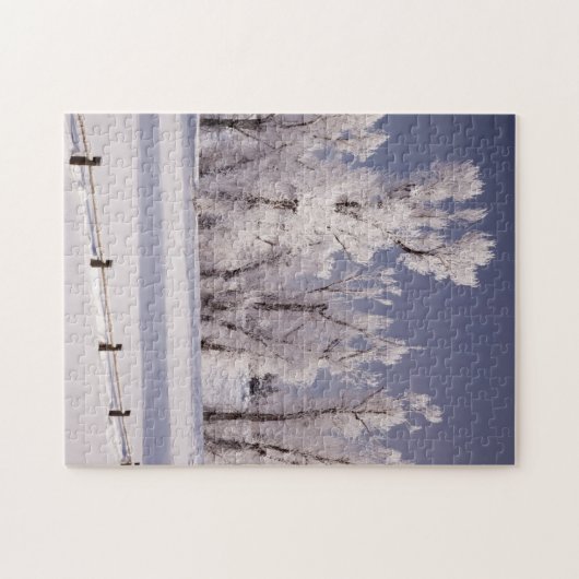 Frost Covered Trees and Fence, Colorado Legpuzzel (Horizontaal)